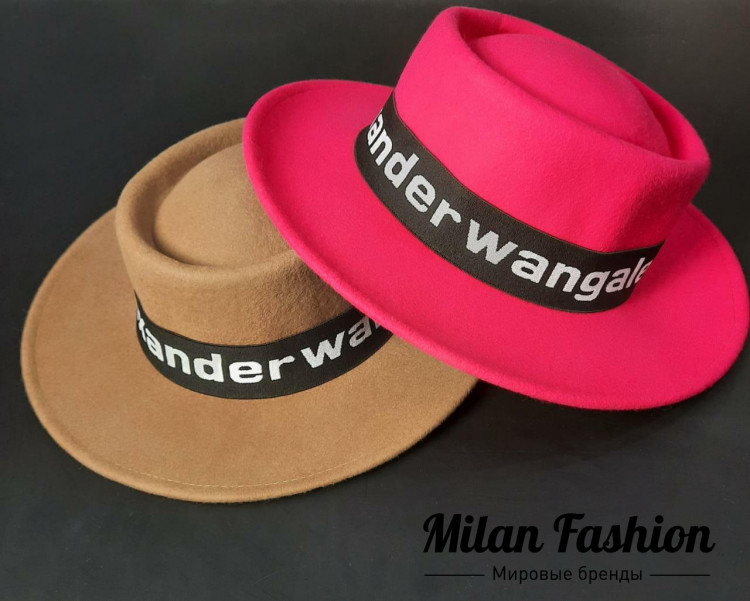 Шляпа Alexander Wang V5168. Вид 1