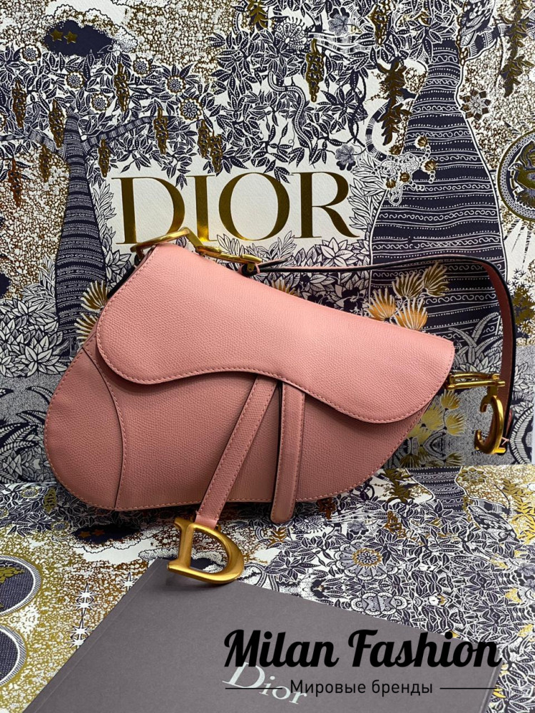 Сумка Saddle Christian Dior an-0863. Вид 2