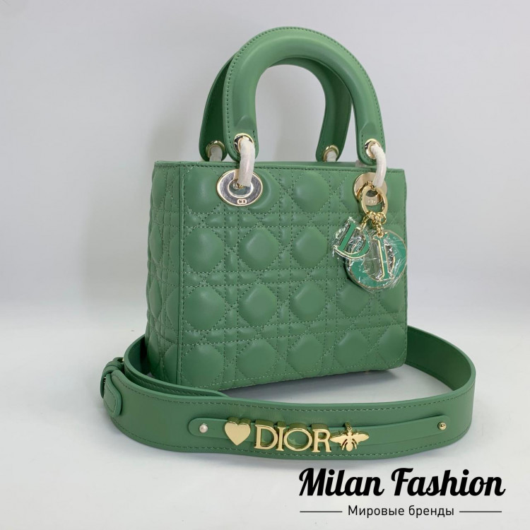Сумка  Christian Dior V6080. Вид 1