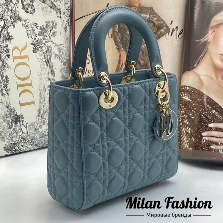Сумка  Christian Dior V6679. Вид 1