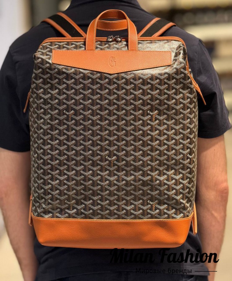 Рюкзак Goyard  … V33987. Вид 6
