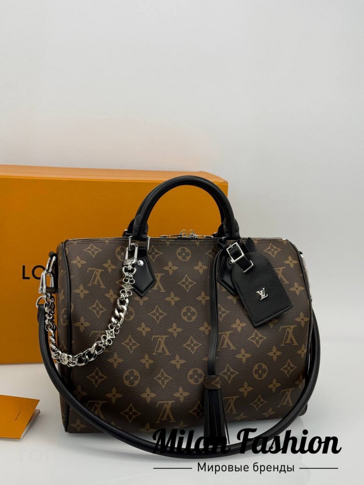 Сумка  Louis Vuitton V523007. Вид 1