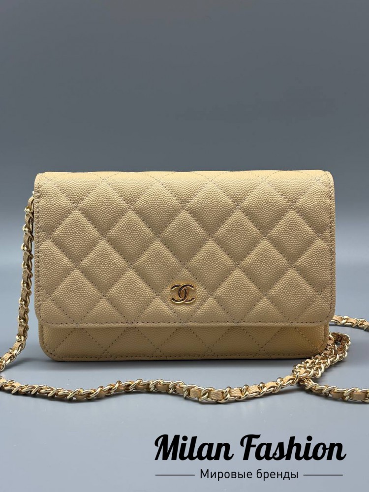 Сумка  Chanel V52369. Вид 1