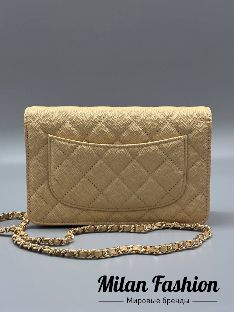 Сумка  Chanel V52369. Вид 2