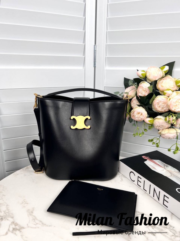 Сумка Louise  Celine V38420. Вид 1