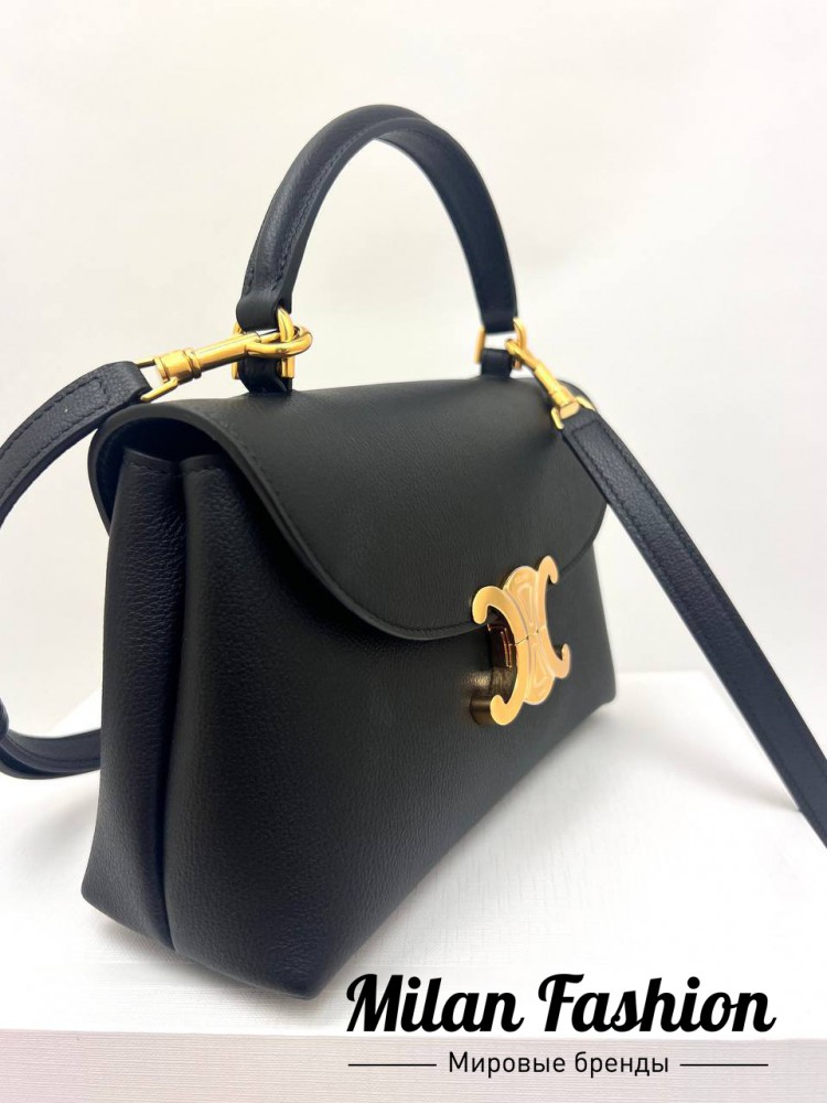 Сумка  Celine V52094. Вид 2