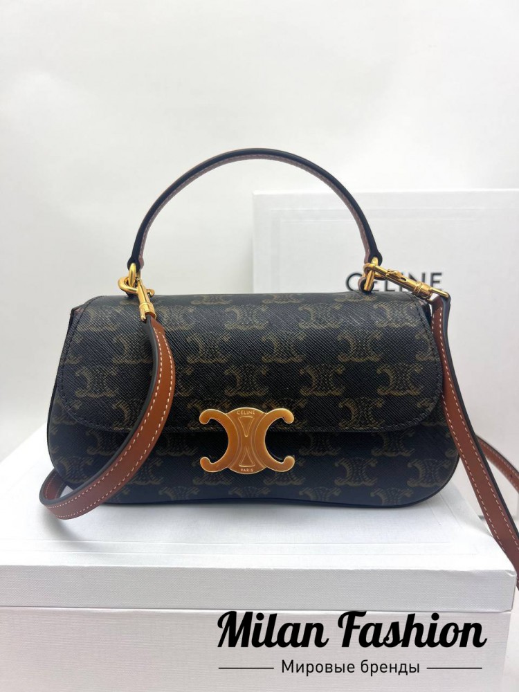 Сумка  Celine V52089. Вид 1