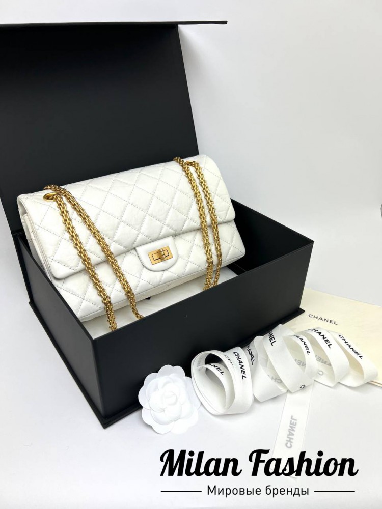 Сумка  Chanel V33519. Вид 1