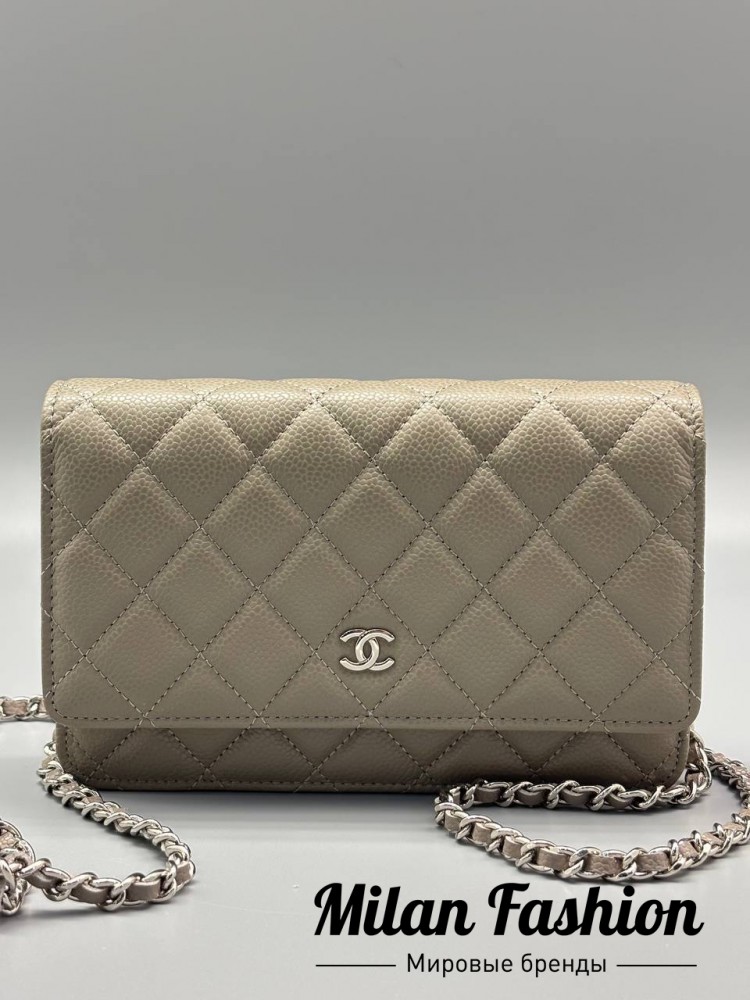 Сумка  Chanel V52519. Вид 1