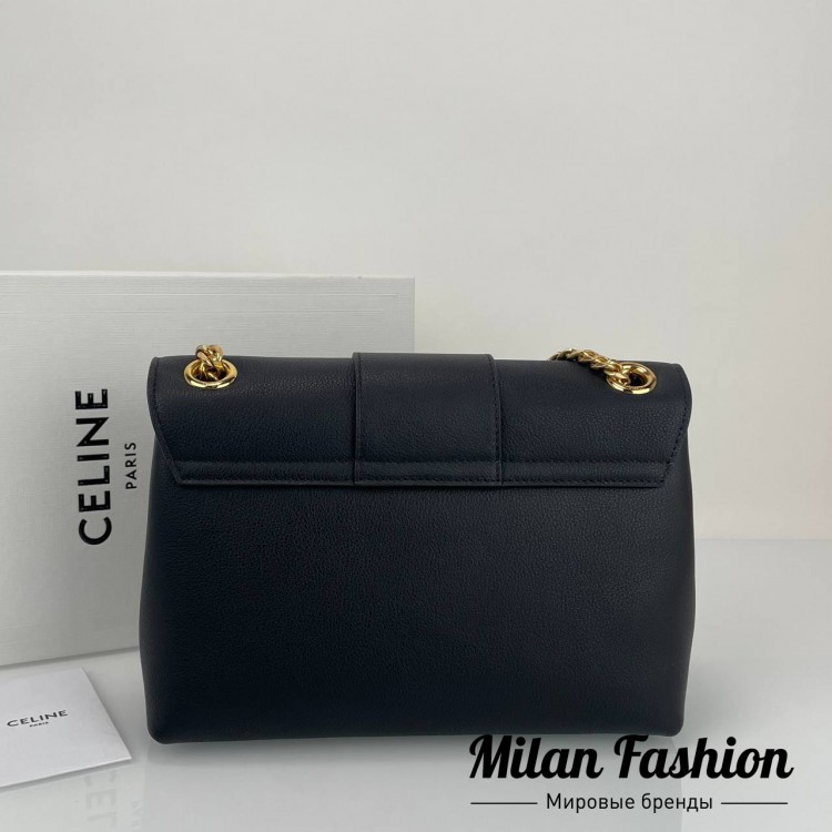 Сумка Victoire Celine V33571. Вид 2