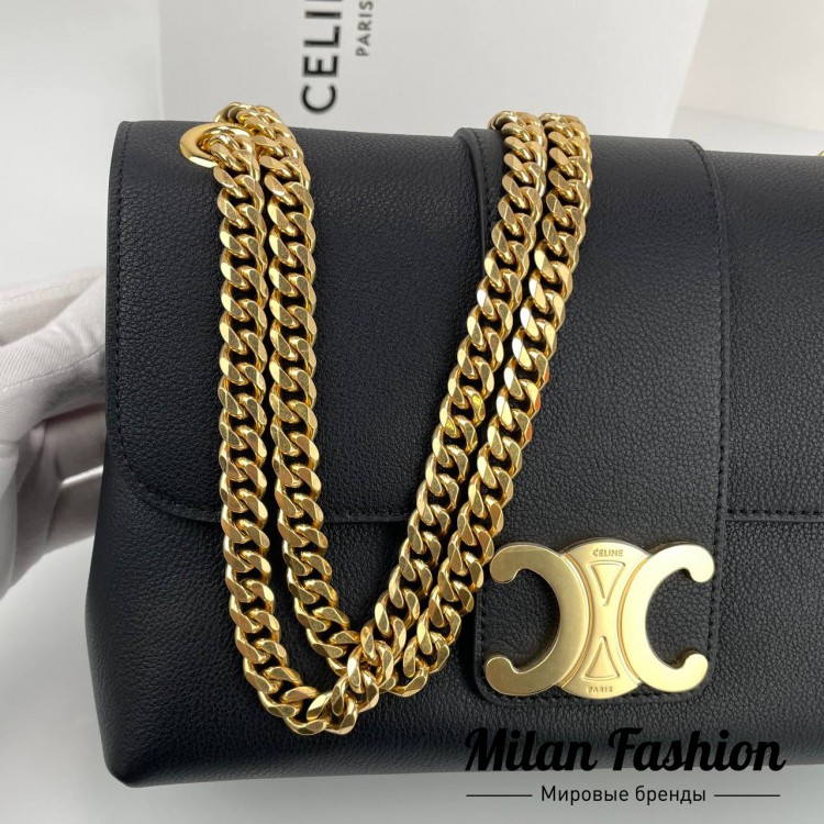 Сумка Victoire Celine V33571. Вид 4