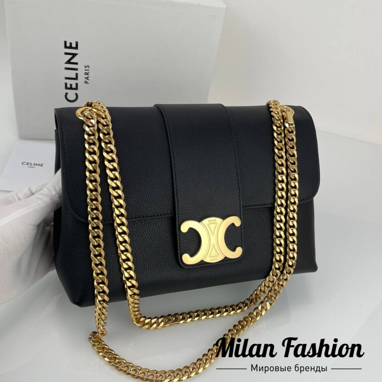 Сумка Victoire Celine V33571. Вид 1