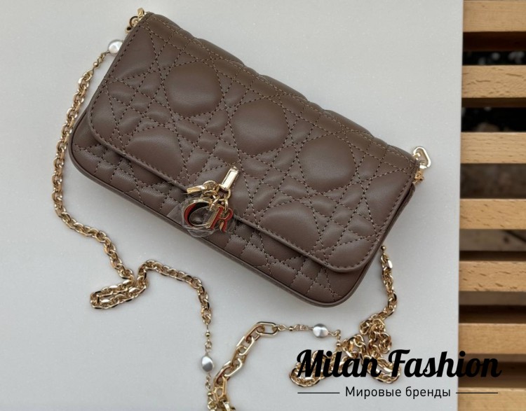 Сумка  Christian Dior V25354. Вид 2