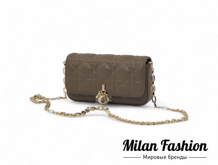 Сумка  Christian Dior V25354. Вид 1