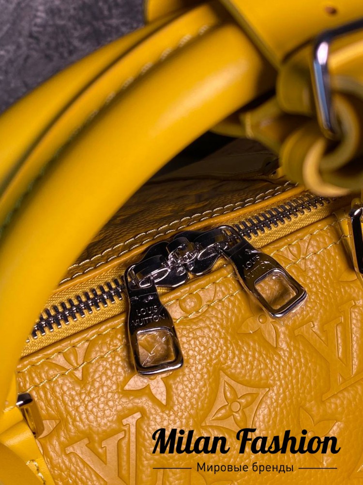 Сумка  Louis Vuitton V52365. Вид 2