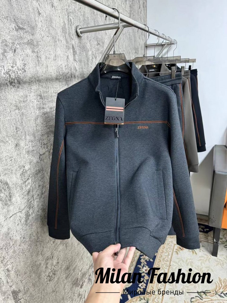 Спортивный костюм  ZEGNA V33631. Вид 3