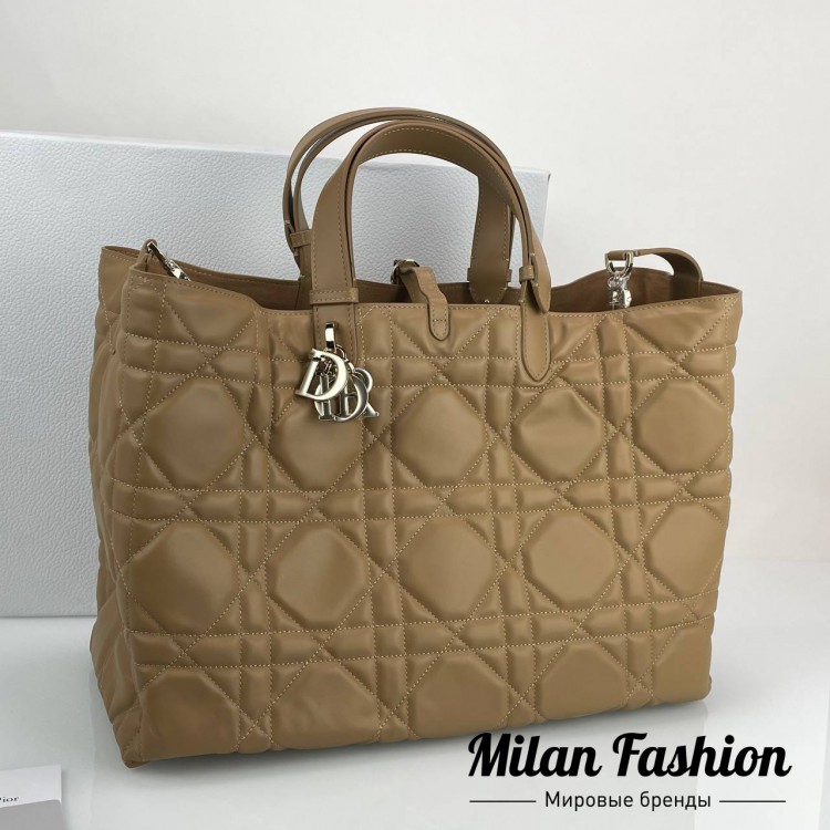 Сумка  Christian Dior V52171. Вид 1