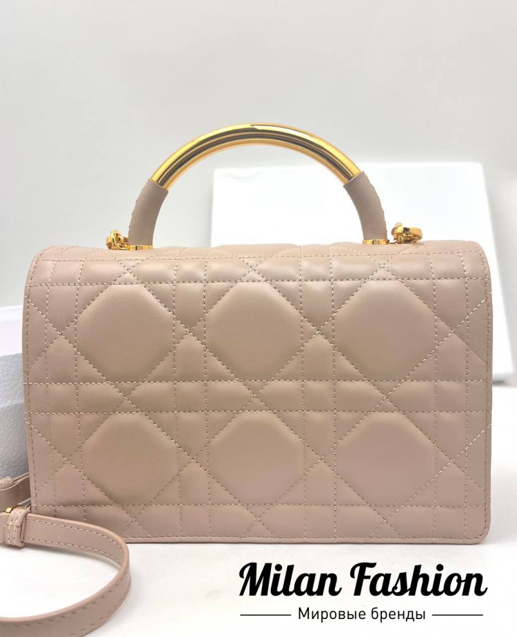 Сумка  Christian Dior V33618. Вид 2