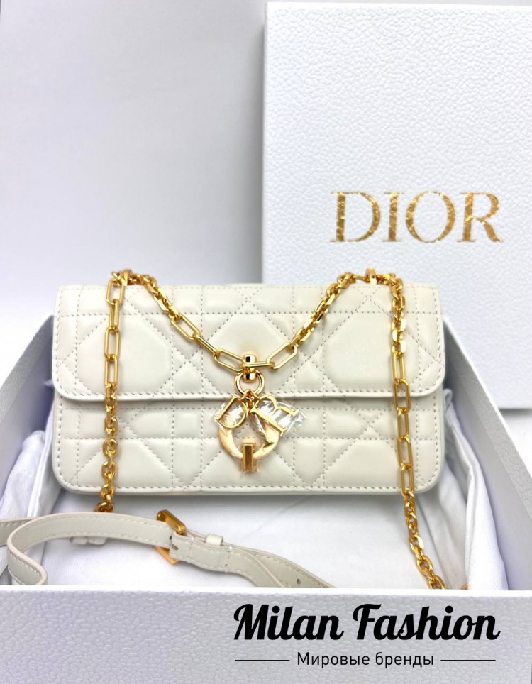 Сумка  Christian Dior V33619. Вид 1