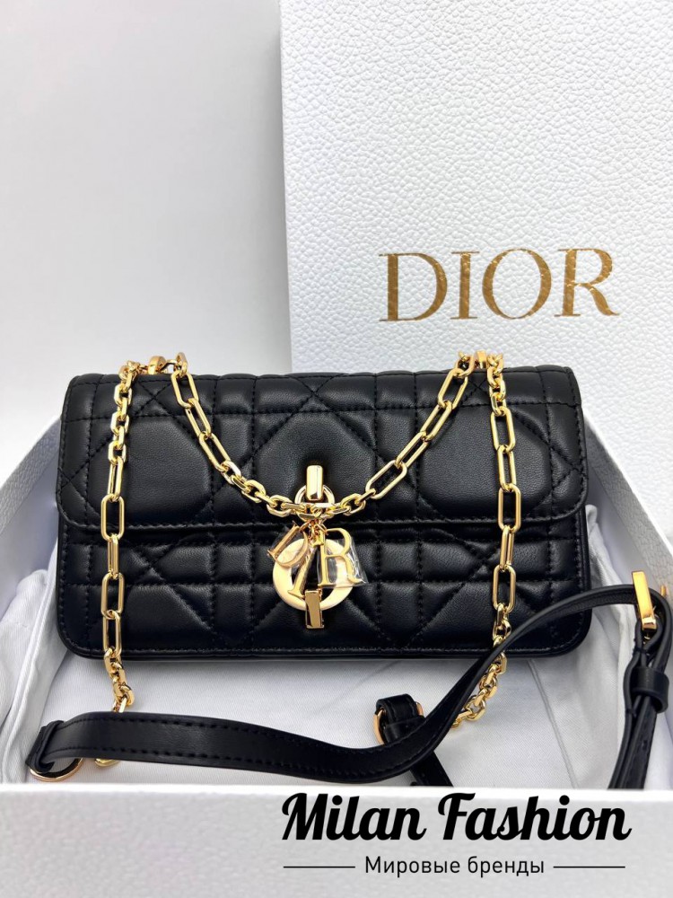 Сумка Christian Dior V33620. Вид 1