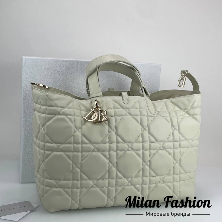 Сумка  Christian Dior V52169. Вид 1