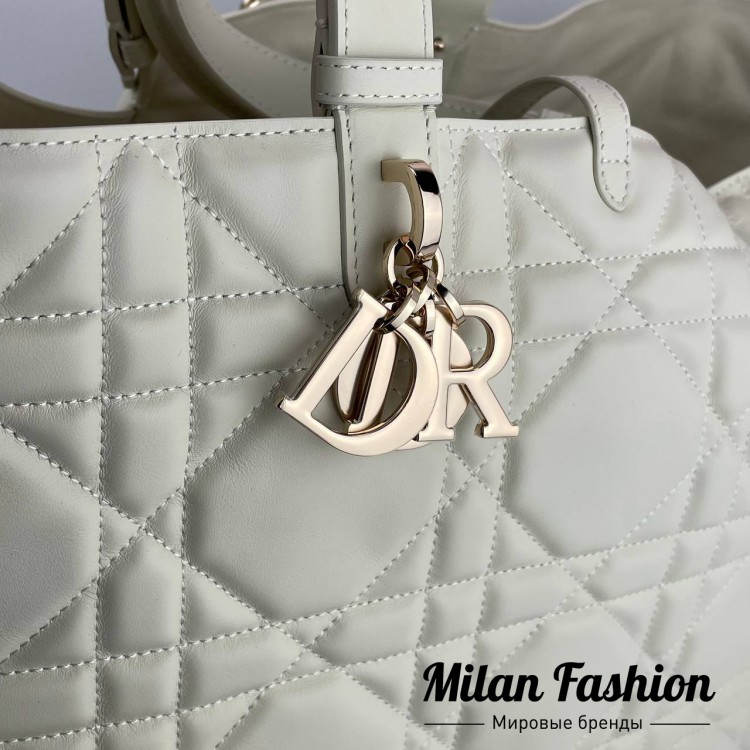 Сумка  Christian Dior V52169. Вид 2