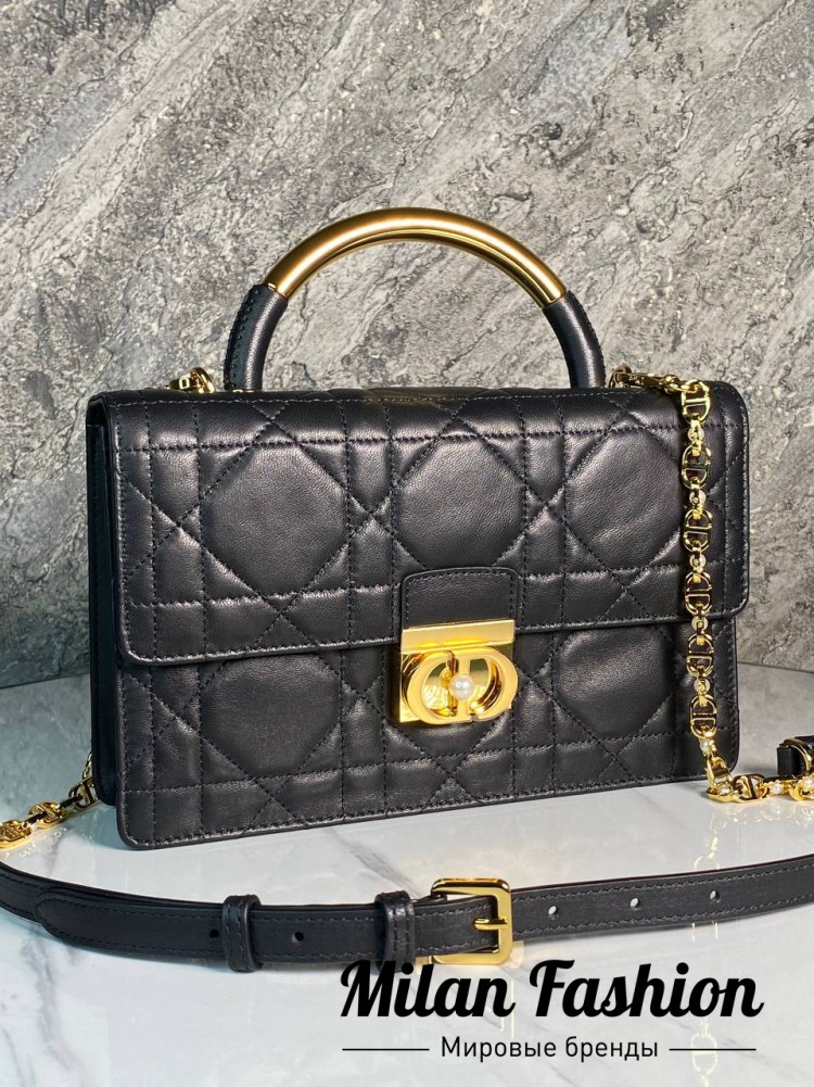 Сумка  Christian Dior V33614. Вид 1