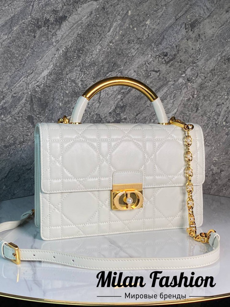 Сумка  Christian Dior V33638. Вид 1