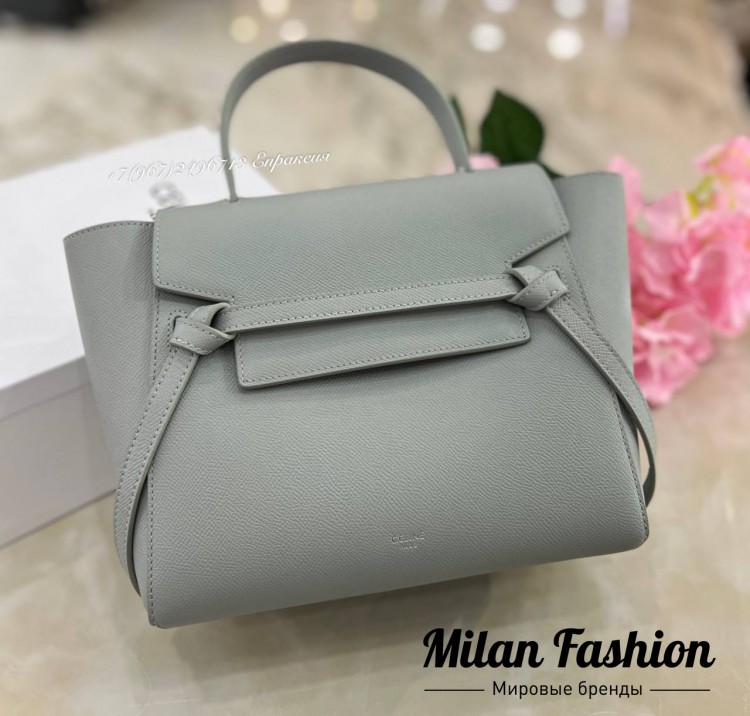 Сумка  Celine V44093. Вид 1