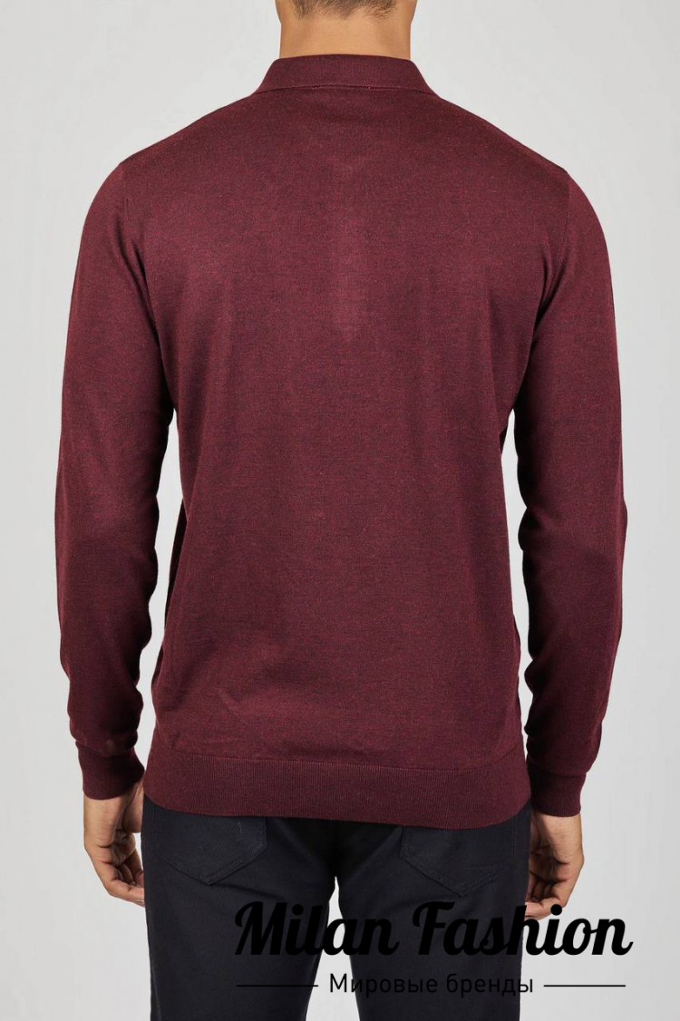 Поло  Brioni B33750. Вид 2