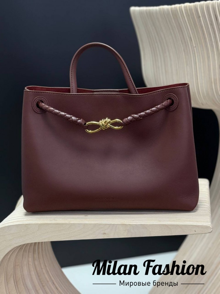 Сумка  Bottega Veneta V52341. Вид 1