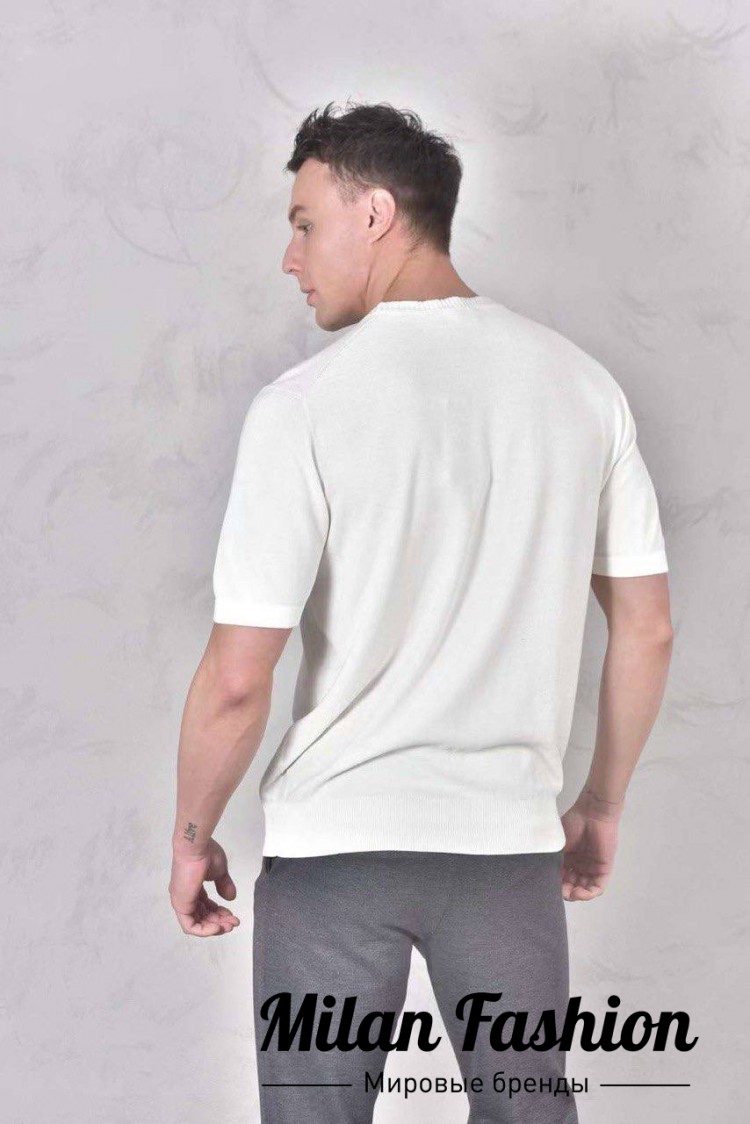 Футболка  Loro Piana V33673. Вид 2