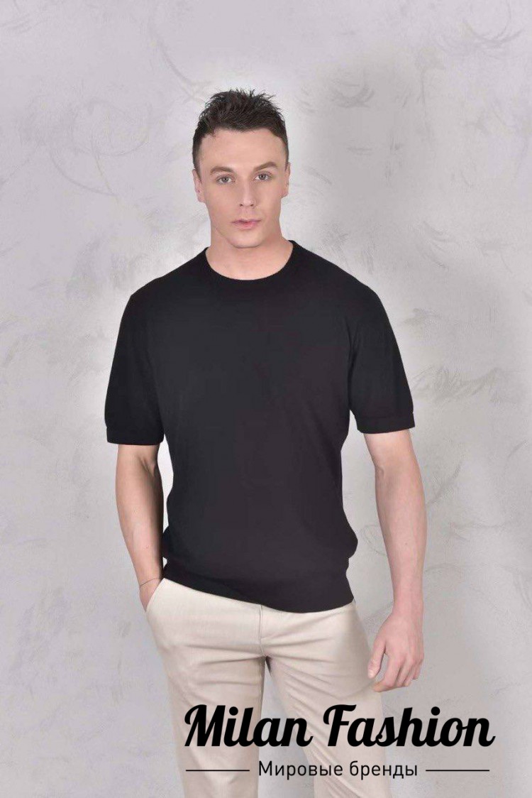 Футболка  Loro Piana V33674. Вид 1