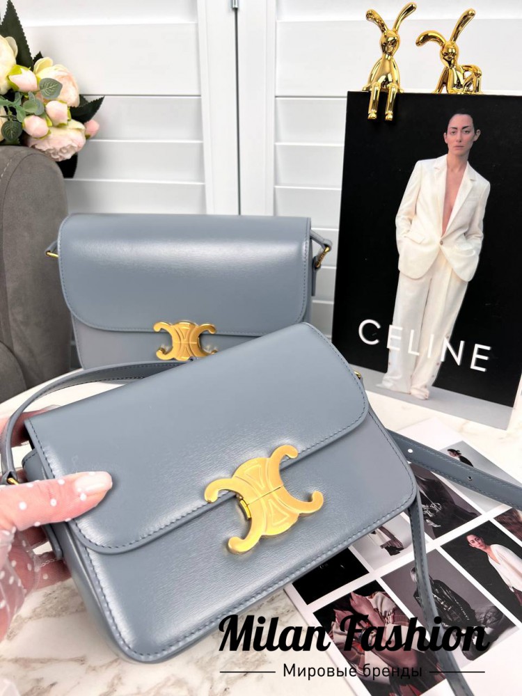 Сумка  Celine V33717. Вид 2