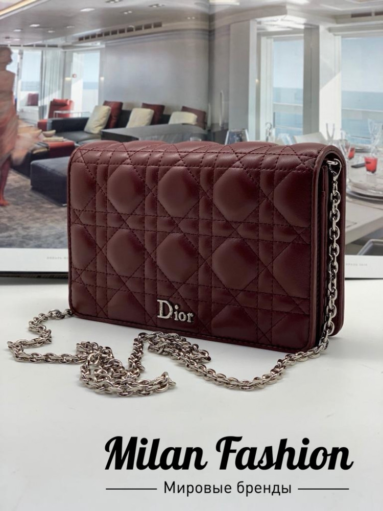 Сумка  Christian Dior ds1164. Вид 1