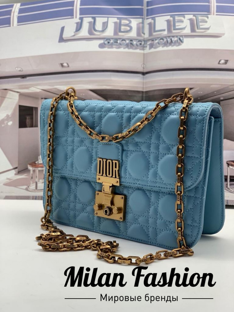 Сумка  Christian Dior ds1177. Вид 1