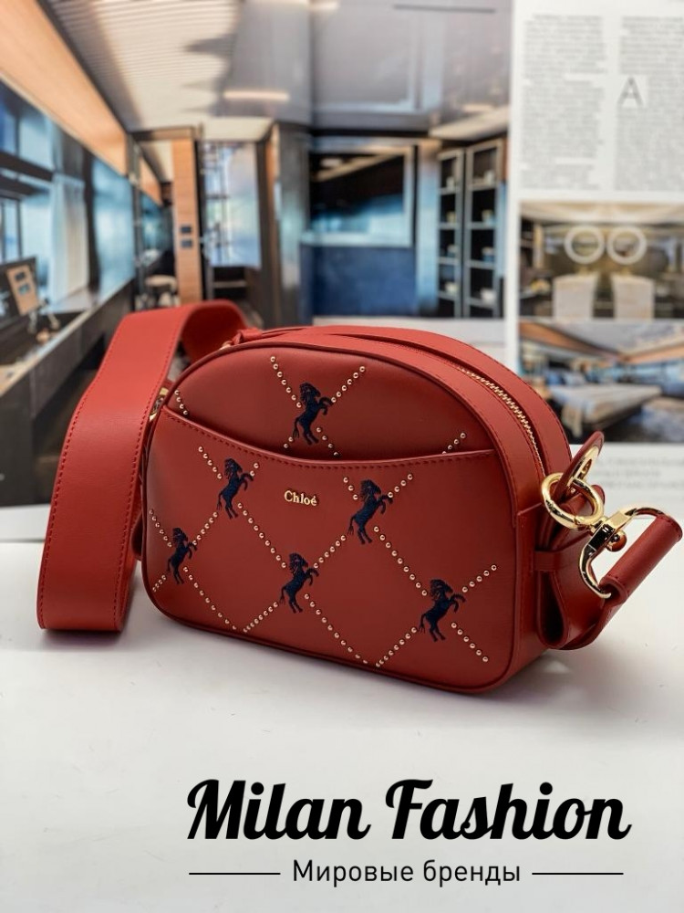 Сумка  Chloe ds1185. Вид 1