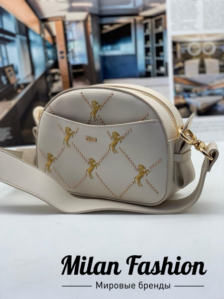 Сумка  Chloe ds1184. Вид 1
