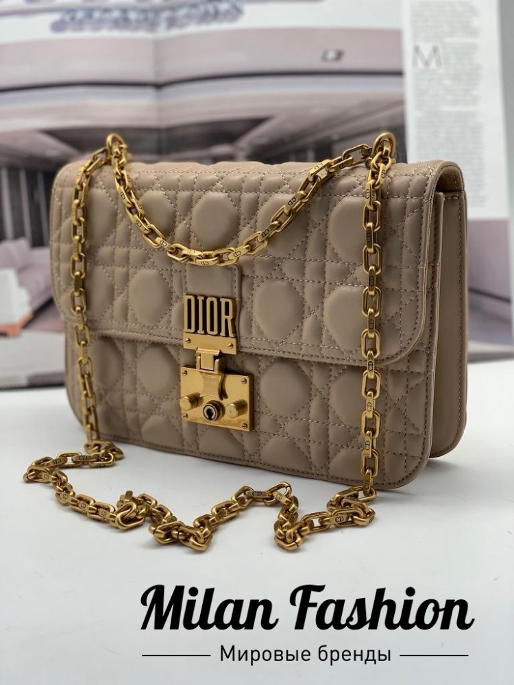 Сумка  Christian Dior ds1181. Вид 1
