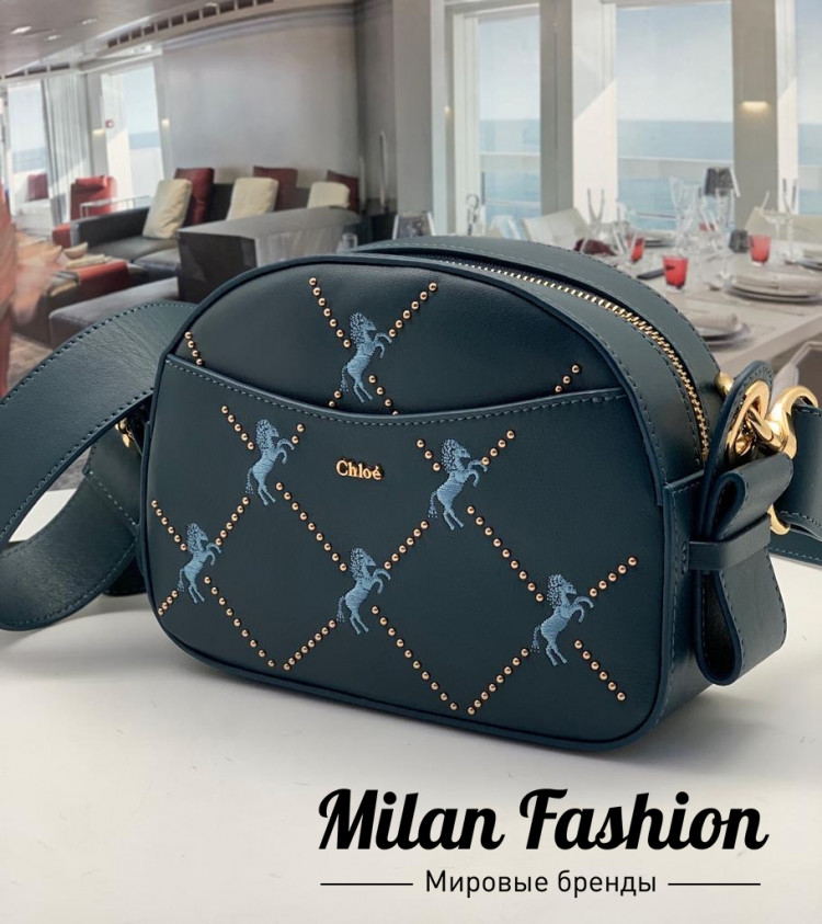 Сумка  Chloe ds1208. Вид 1