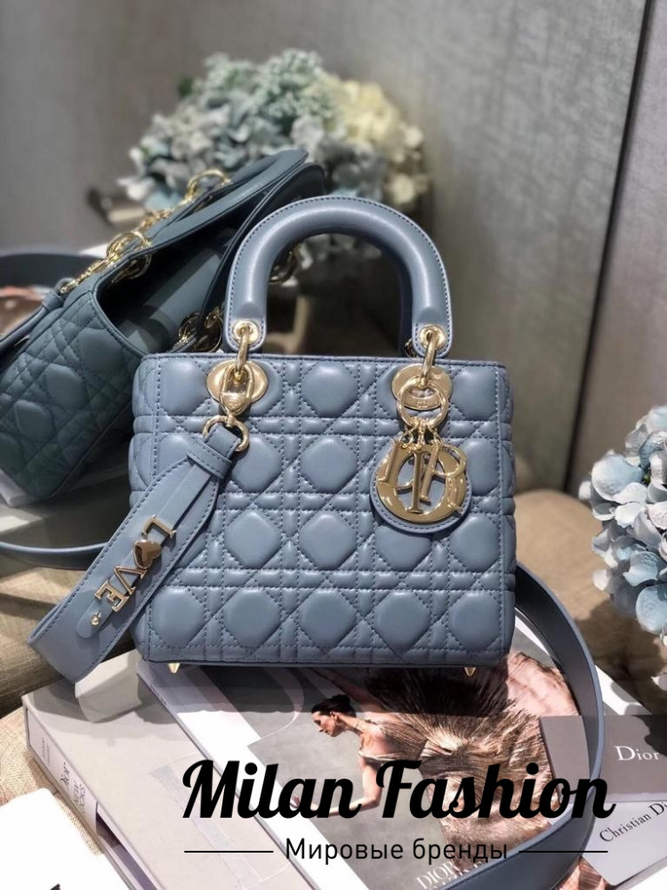 Сумка  Christian Dior ds1217. Вид 1