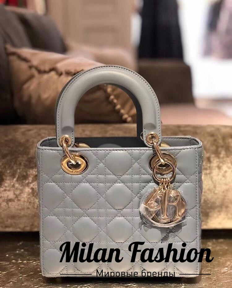 Сумка  Christian Dior ds1040. Вид 5