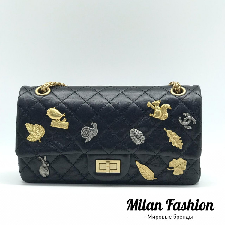Сумка Chanel ds1003. Вид 1