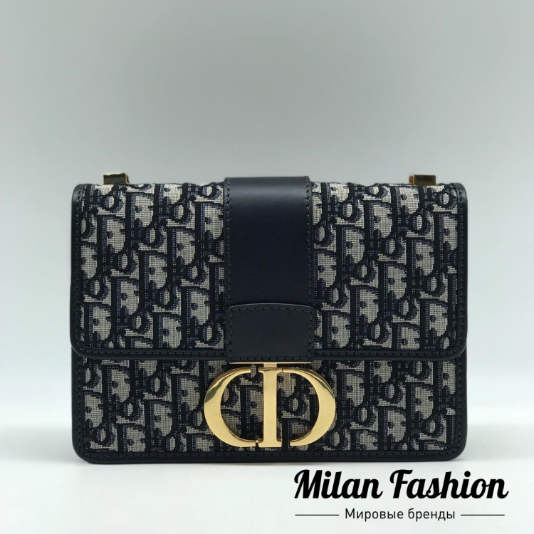 Сумка  Christian Dior ds1258. Вид 1