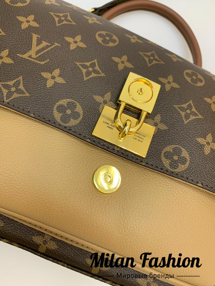 Сумка Louis Vuitton an-0087. Вид 2
