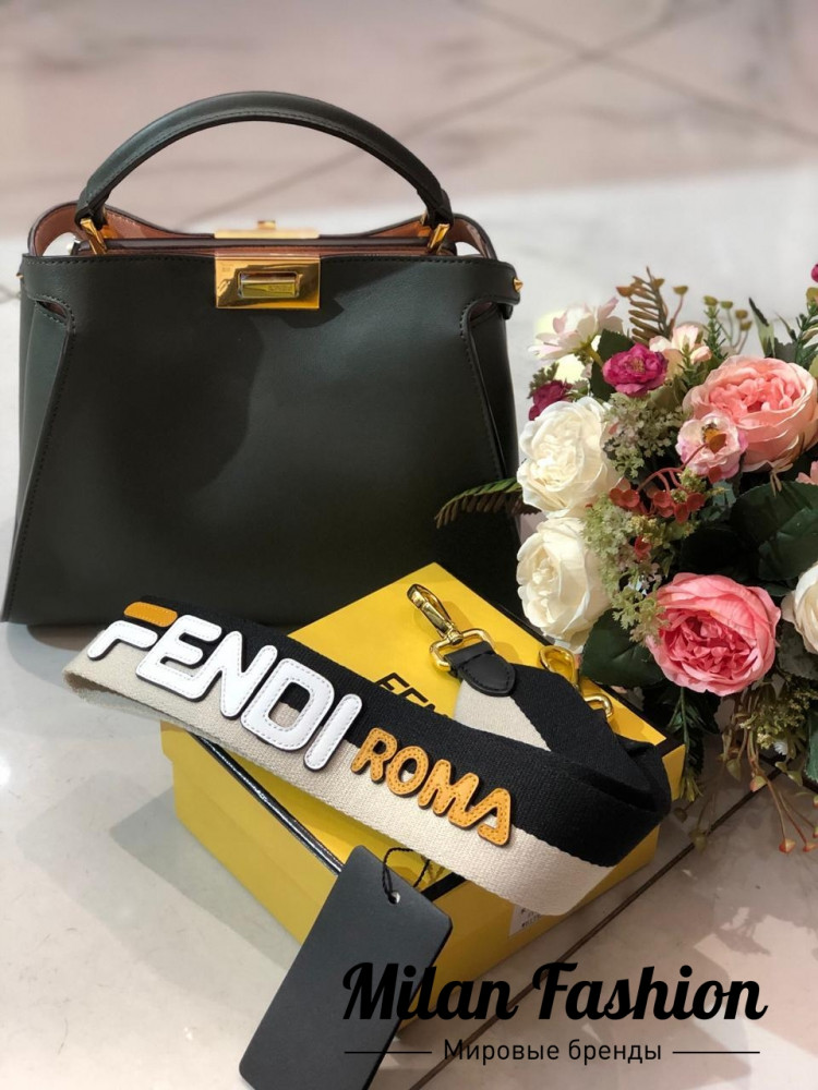 Сумка Fendi an-0148. Вид 1