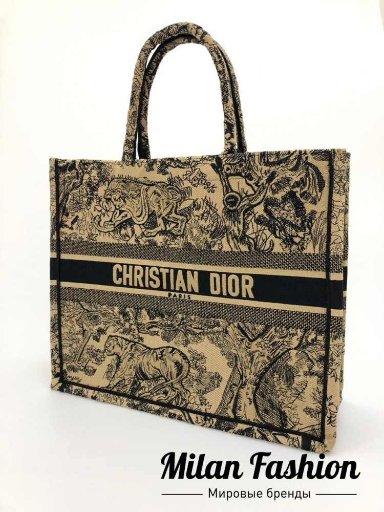 Сумка Christian Dior ss-53. Вид 1