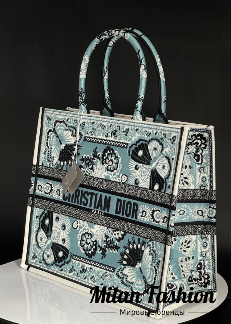 Сумка Christian Dior V43610. Вид 1