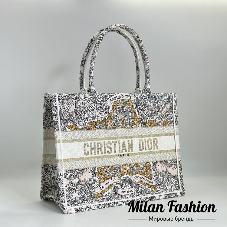 Сумка Christian Dior V52421. Вид 1