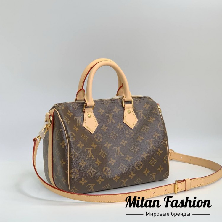 Сумка  Louis Vuitton V52281. Вид 1